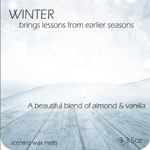 Handmade Soy WINTER Wax melts tarts